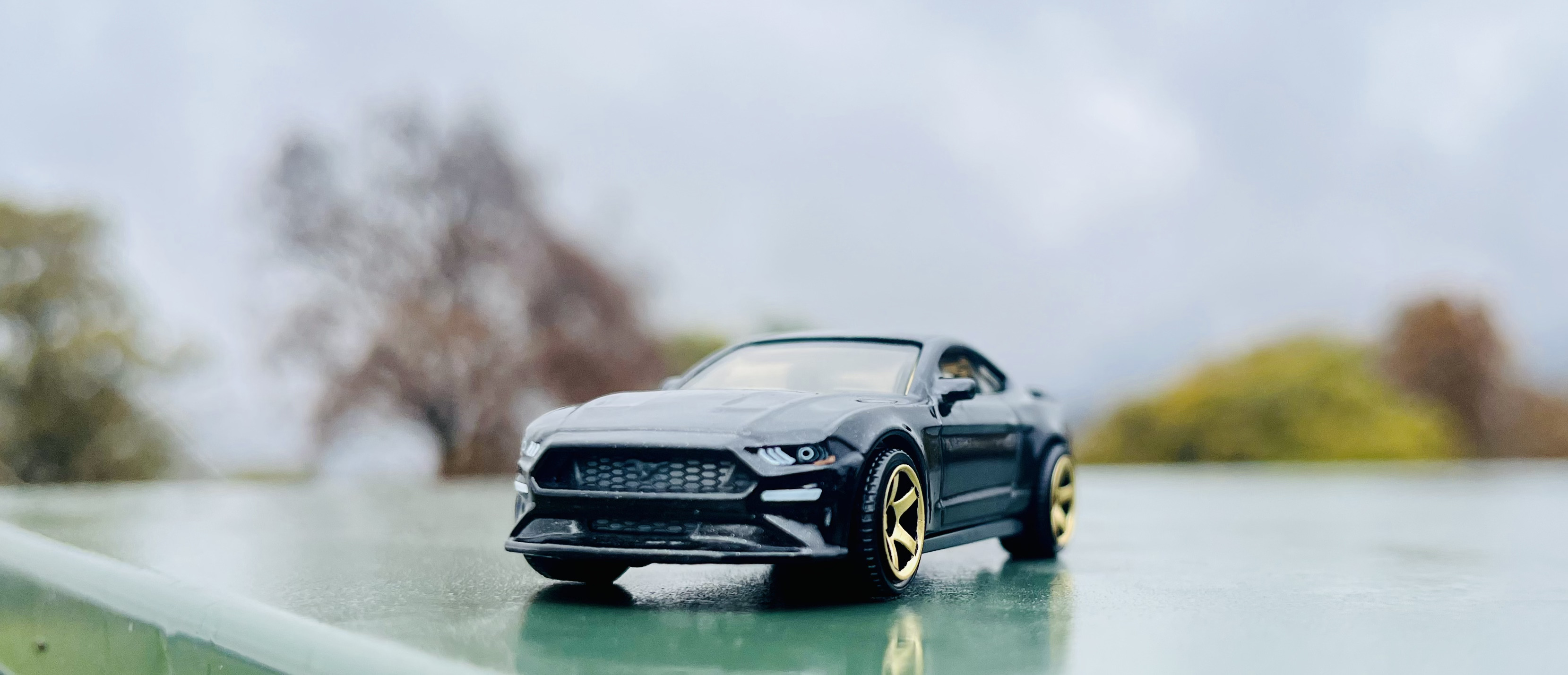 Mustang