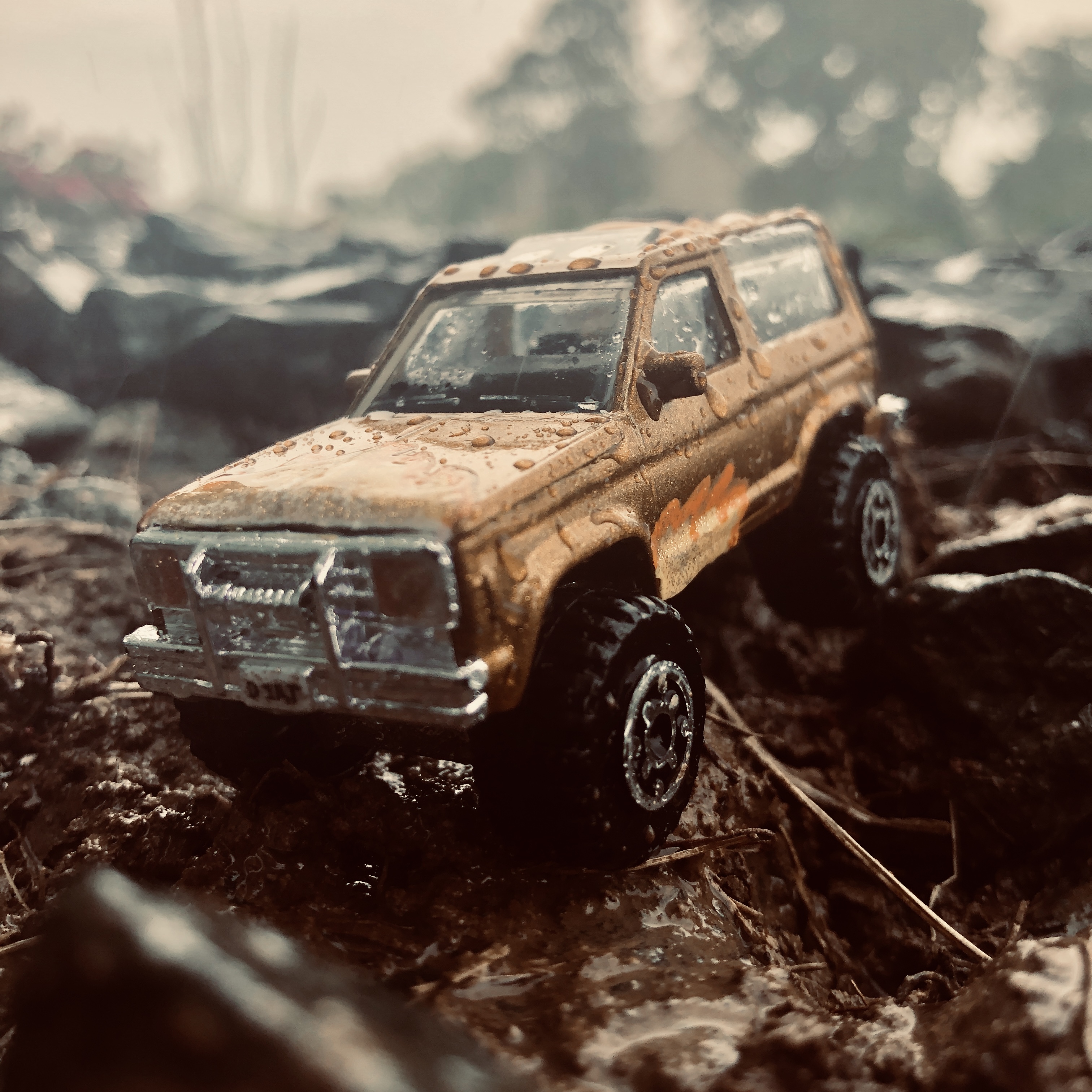Ford Bronco II (painted)