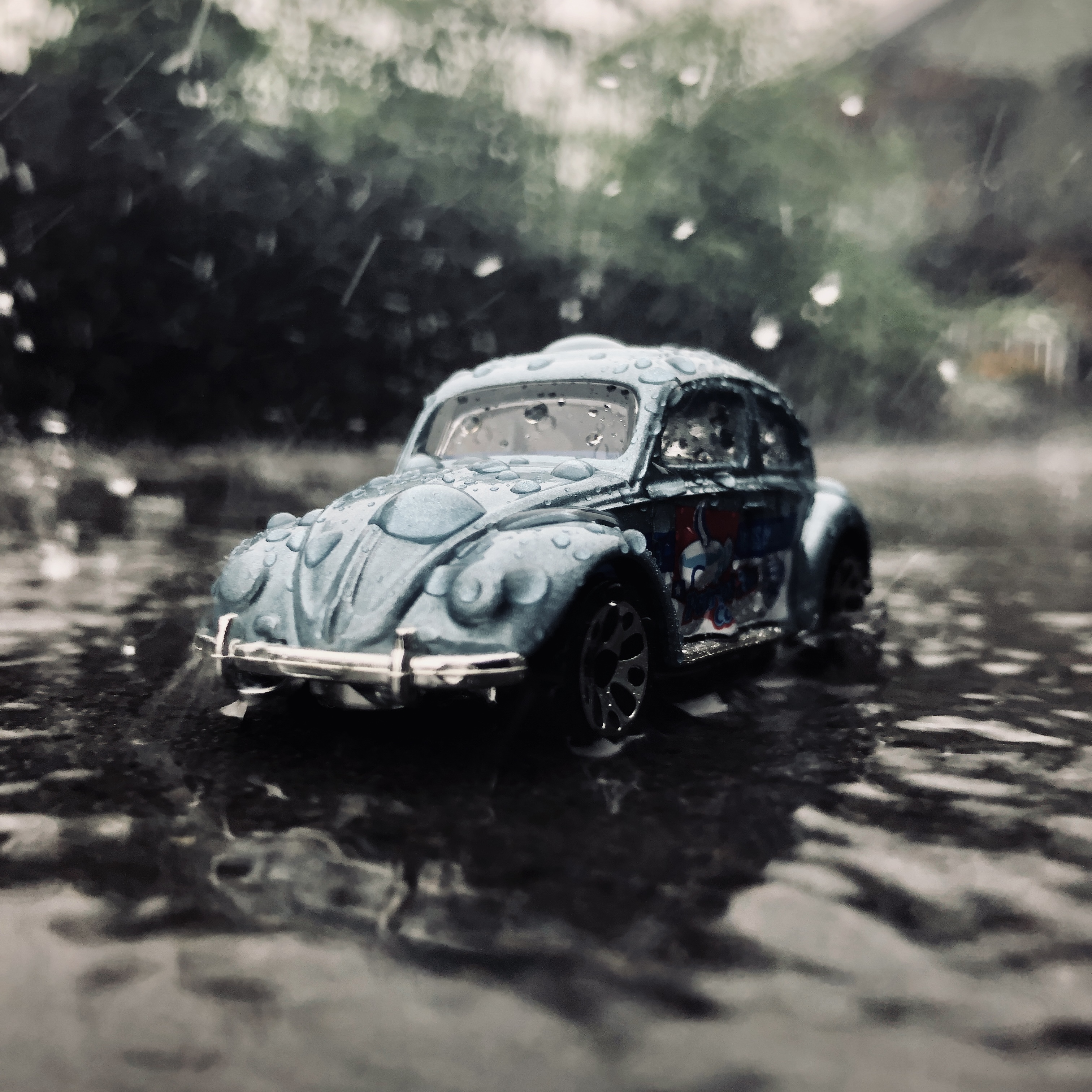 1962 Volkswagen Beetle