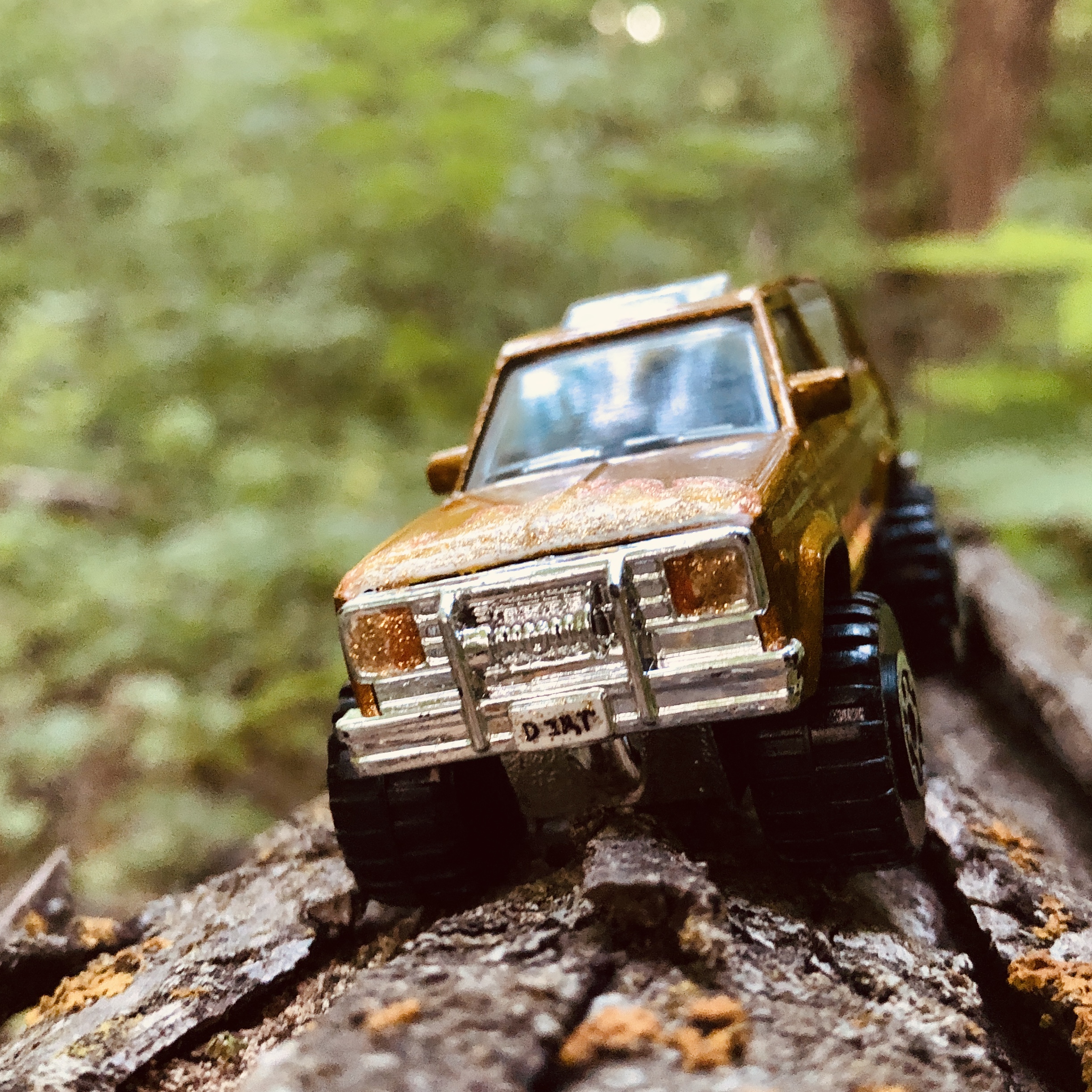 Ford Bronco II